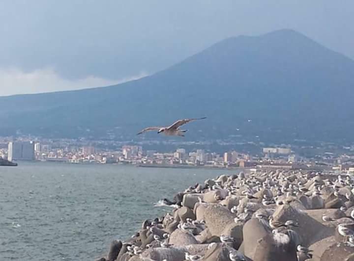 Casa Vacanza Nonna Antonietta Castellammare di Stabia Extérieur photo